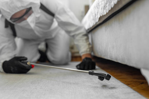 Professional Ant Control technician working in Baltic, CT
