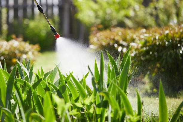 24/7 Emergency Mosquito Control experts in Baltic, CT