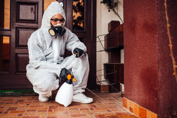 Reliable Mosquito Control contractor in Baltic, CT by Show Me Pest Control